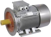 Электродвигатель АИР DRIVE 3ф 200L8 660В 22кВт 750об/мин 2081 ONI DRV200-L8-022-0-0720