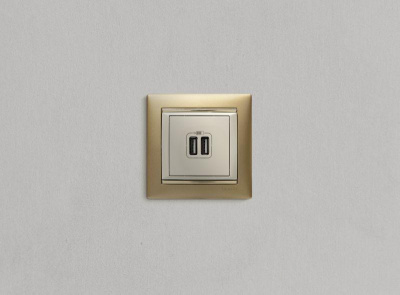 Розетка USB 2-м СП Valena сл. кость Leg 774170