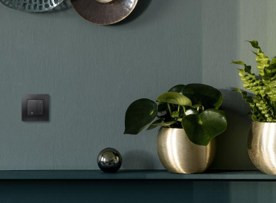 Etika Антрацит Светорегулятор нажимной, 400Вт | 672618 | Legrand