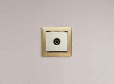 Valena Сл. кость Розетка TV единственная 1,5 дБ | 774329 | Legrand